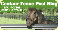 Blogging with Centaur