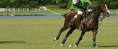 Centaur Polo Balls
