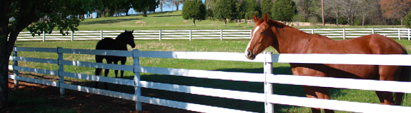 centaur htp horse fence