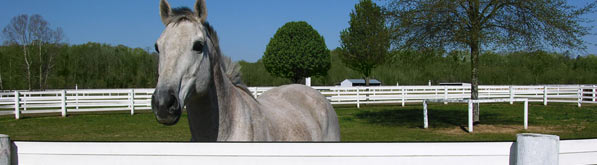 hotrail electric horse fencing