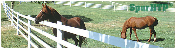 spur htp fenced in horses