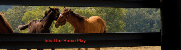 CENTAUR HTP