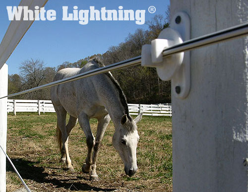 Horses grazing safely behind a White Lightning electric horse fence wire.
