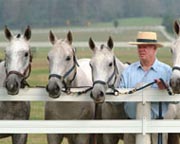 Centaur HTP White Rail Fence