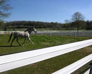 Hot-Rail Electric Fence