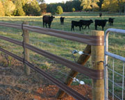 Brown Centaur HTP and White Lightning Horse Fence