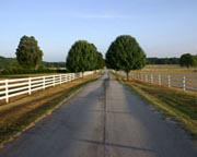 Road with White Centaur HTP Fence