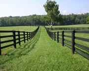 Black Centaur Fence