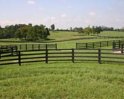 Black Centaur Fence