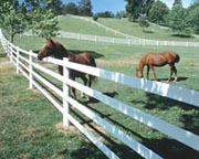 Spur HTP Horse Fence